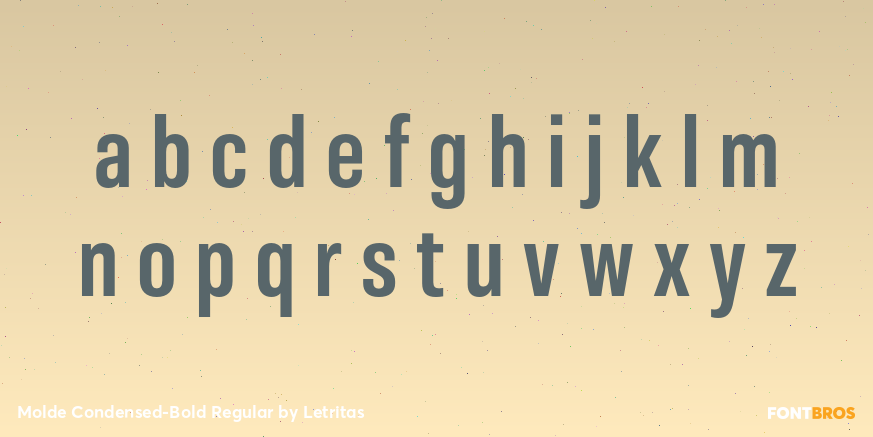 Molde Condensed-Bold Regular Font Poster #3