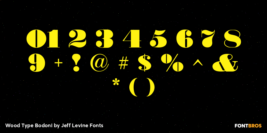 Wood Type Bodoni Font Poster #4