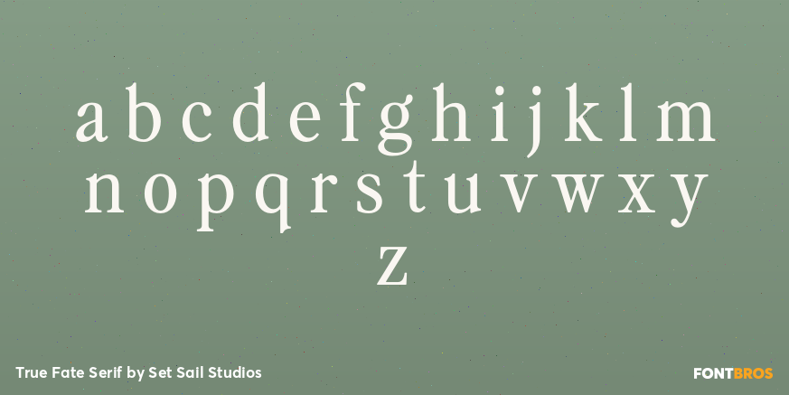 True Fate Serif Font Poster #1