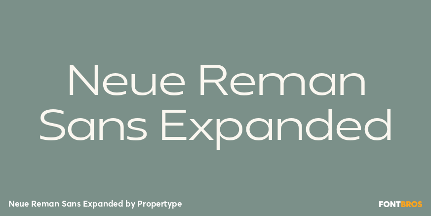 Neue Reman Sans Expanded Font Poster #1
