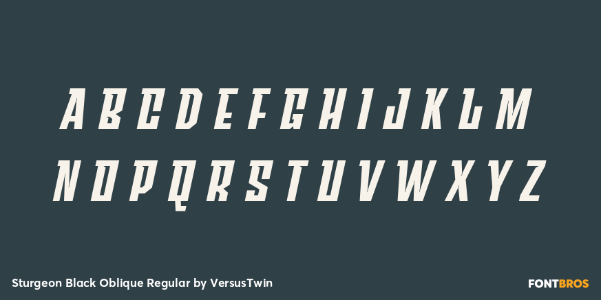 Sturgeon Black Oblique Regular Font Poster #3
