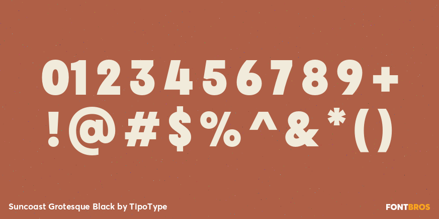 Suncoast Grotesque Black Font Poster #4