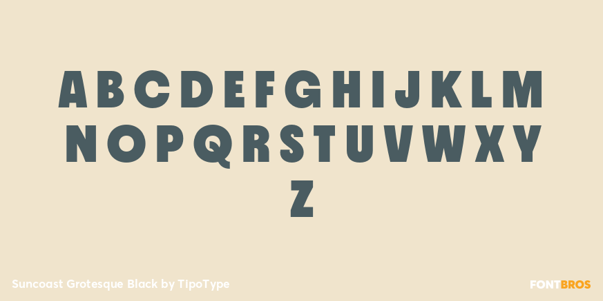 Suncoast Grotesque Black Font Poster #2