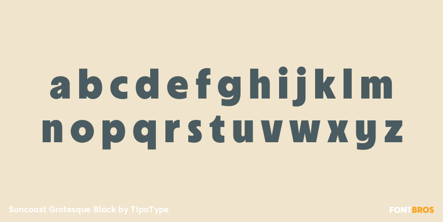 Suncoast Grotesque Black Font Poster #3
