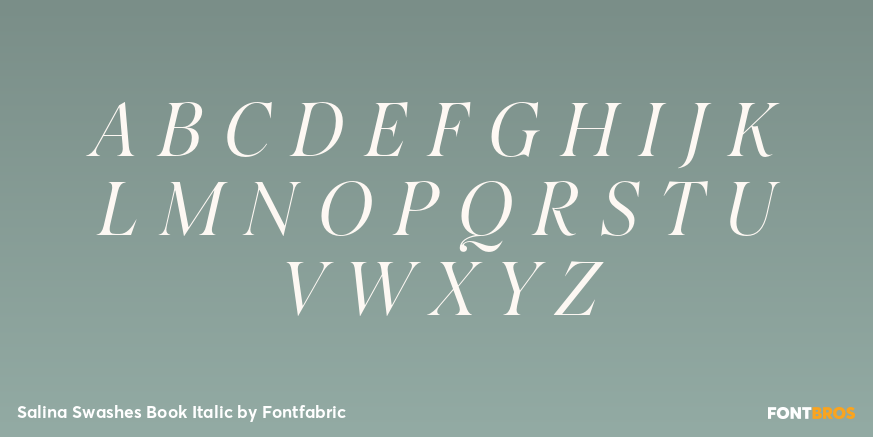 Salina Swashes Book Italic Font Poster #2
