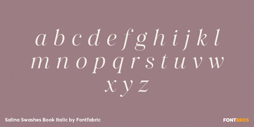 Salina Swashes Book Italic Font Poster #3