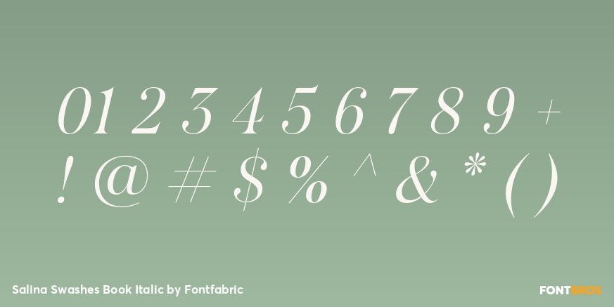 Salina Swashes Book Italic Font Poster #4