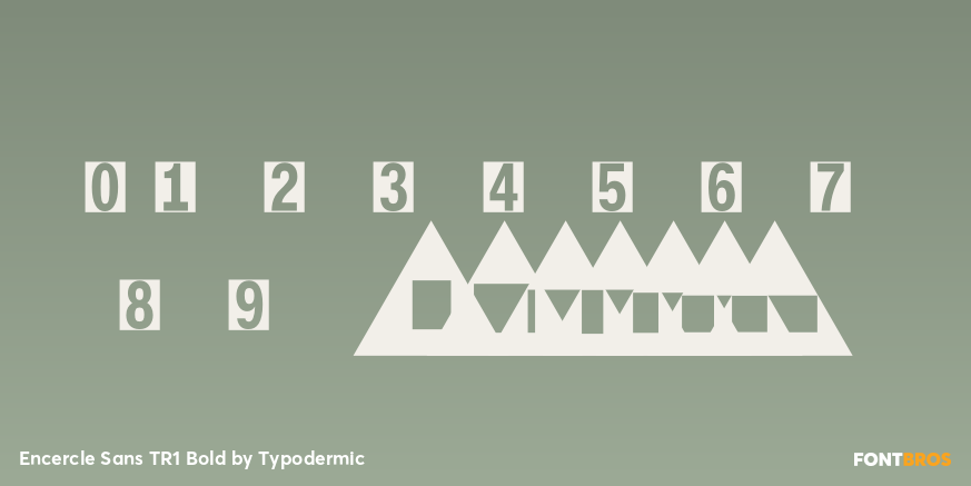 Encercle Sans TR1 Bold Font Poster #1