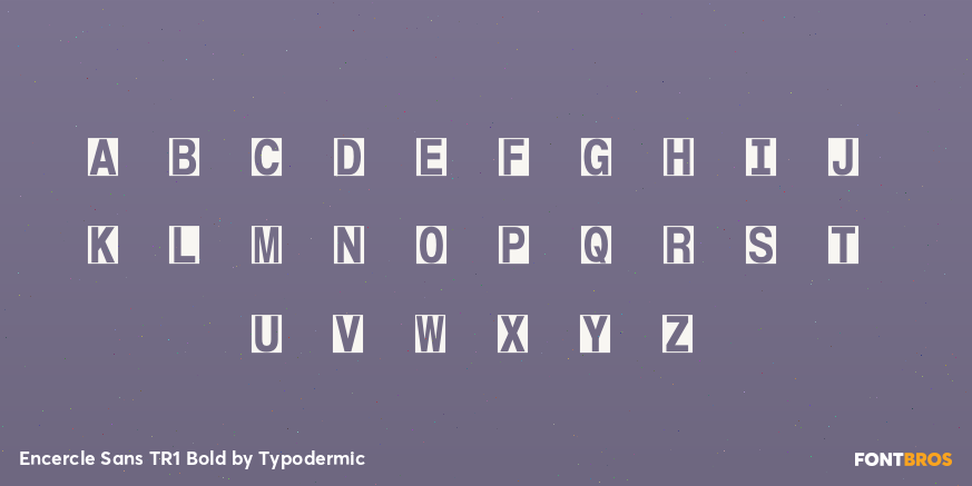 Encercle Sans TR1 Bold Font Poster #3