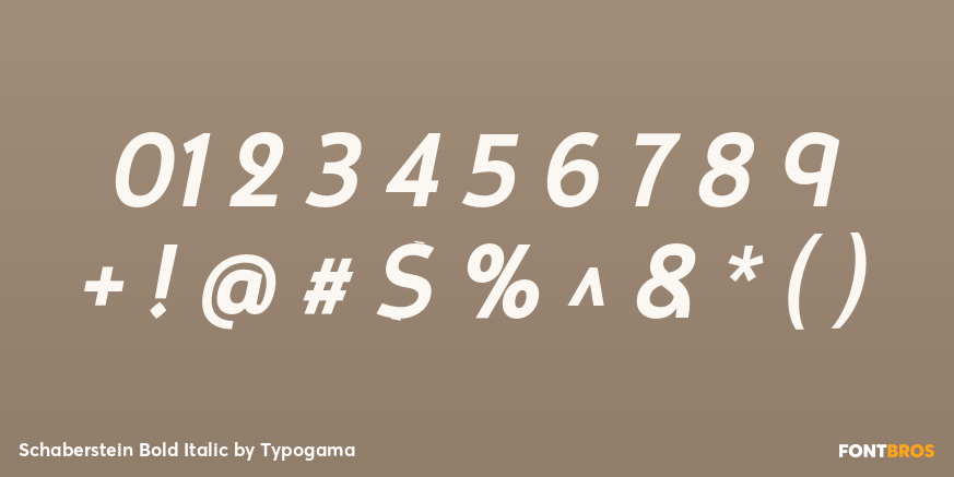 Schaberstein Bold Italic Font Poster #4