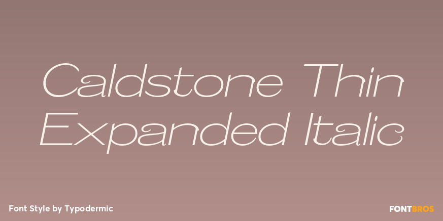 Caldstone Thin Expanded Italic Poster