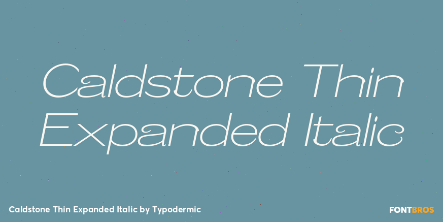 Caldstone Thin Expanded Italic Poster
