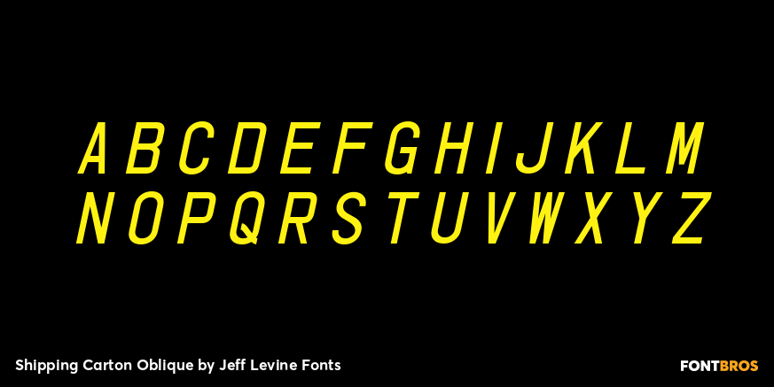 Shipping Carton Oblique Font Poster #3