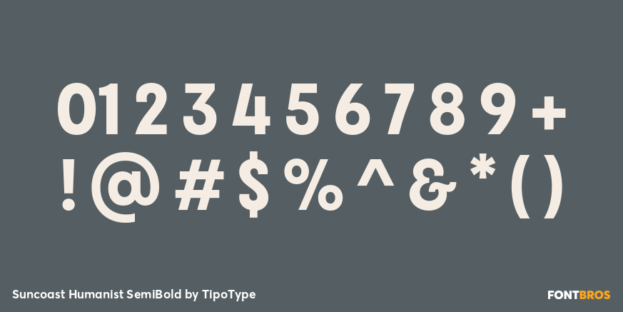 Suncoast Humanist SemiBold Font Poster #4