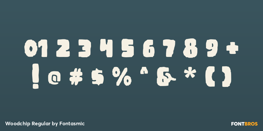 Woodchip Regular Font Poster #1