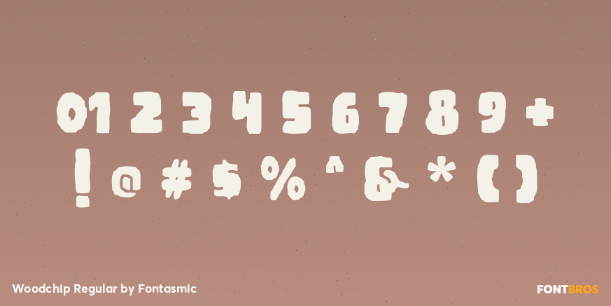 Woodchip Regular Font Poster #4