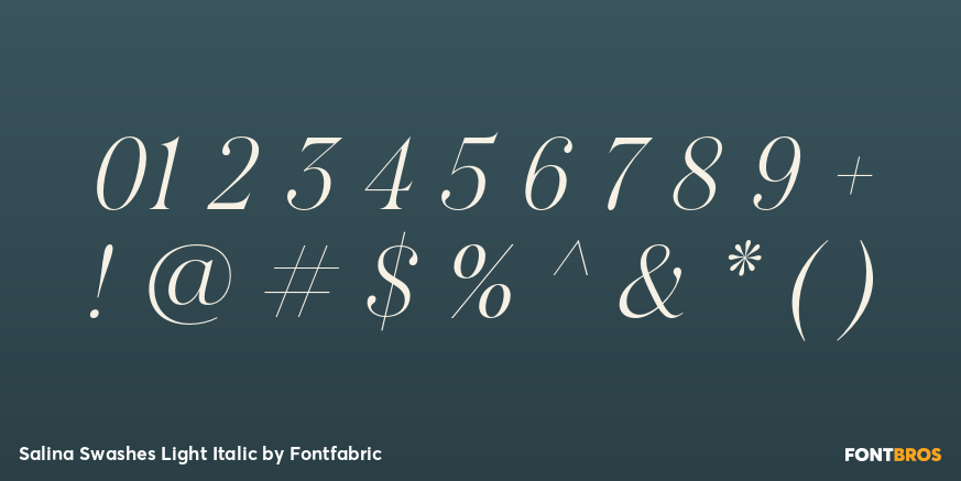 Salina Swashes Light Italic Font Poster #4