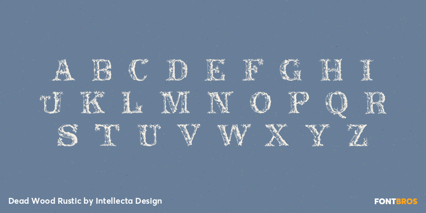 Dead Wood Rustic Font Poster #2