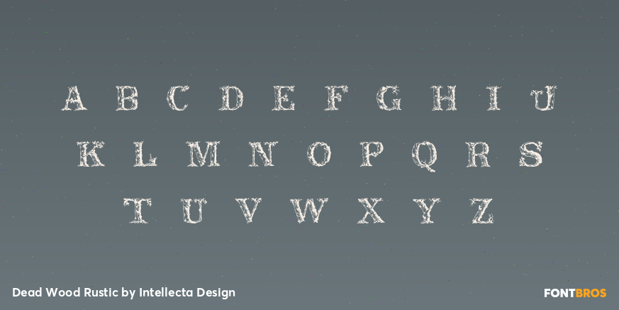 Dead Wood Rustic Font Poster #3
