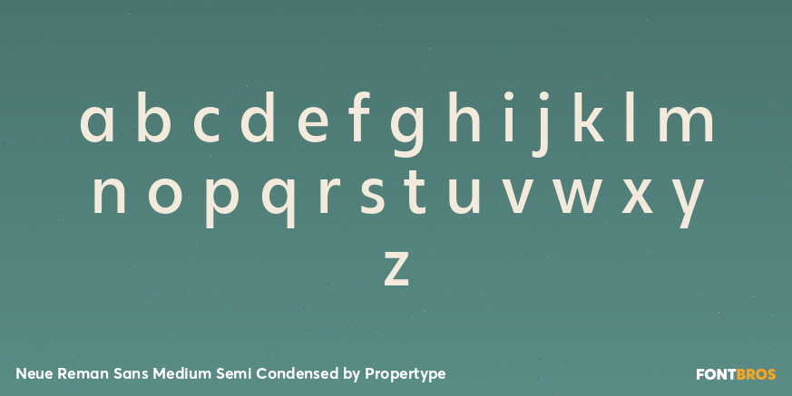 Neue Reman Sans Medium Semi Condensed Font Poster #3