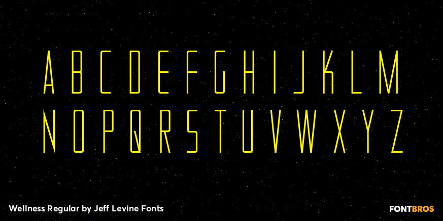 Wellness Regular Font Poster #3