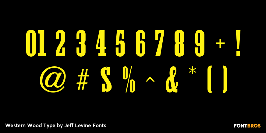 Western Wood Type Font Poster #4