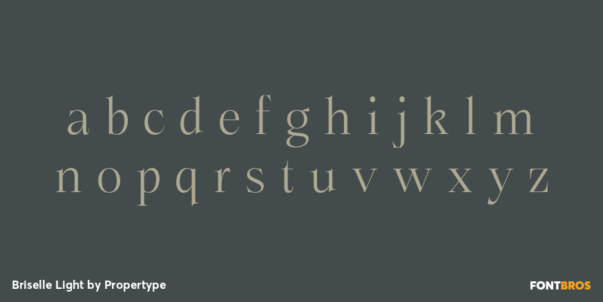 Briselle Light Font Poster #3