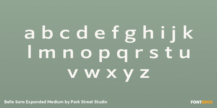 Belle Sans Expanded Medium Font Poster #3