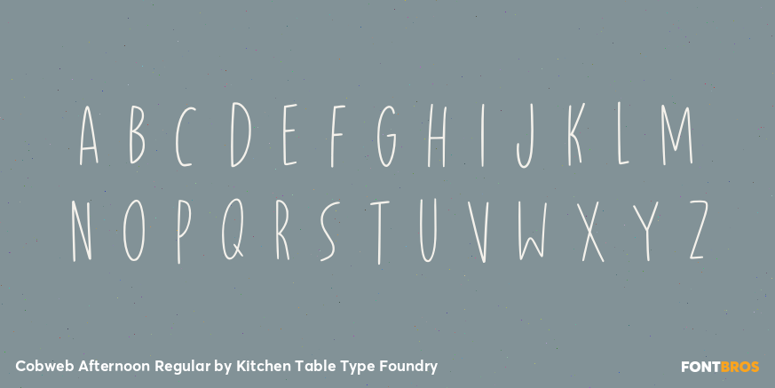 Cobweb Afternoon Regular Font Poster #2