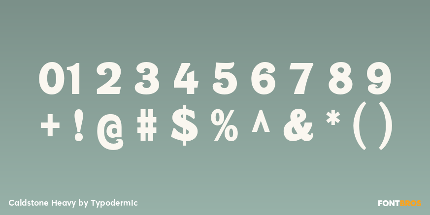 Caldstone Heavy Font Poster #1