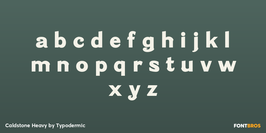 Caldstone Heavy Font Poster #3