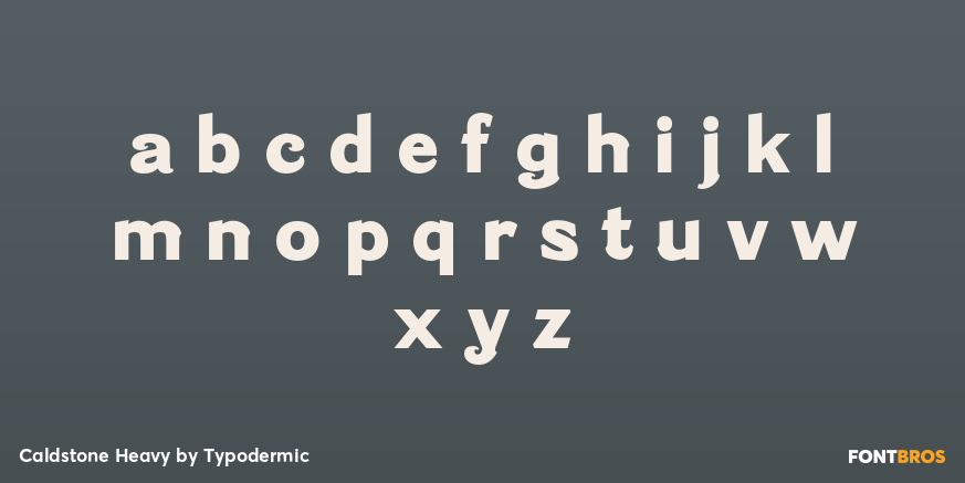 Caldstone Heavy Font Poster #1