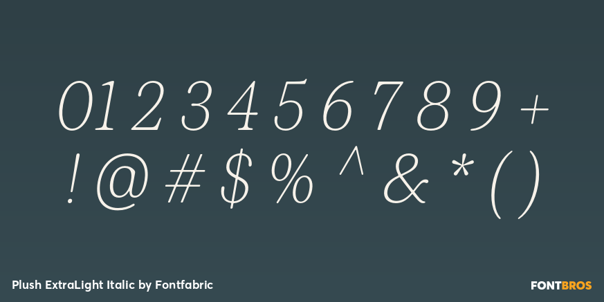 Plush ExtraLight Italic Font Poster #4