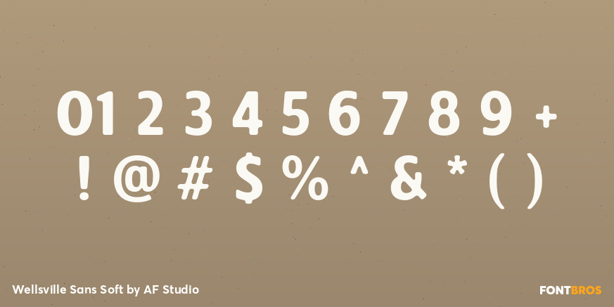 Wellsville Sans Soft Font Poster #4