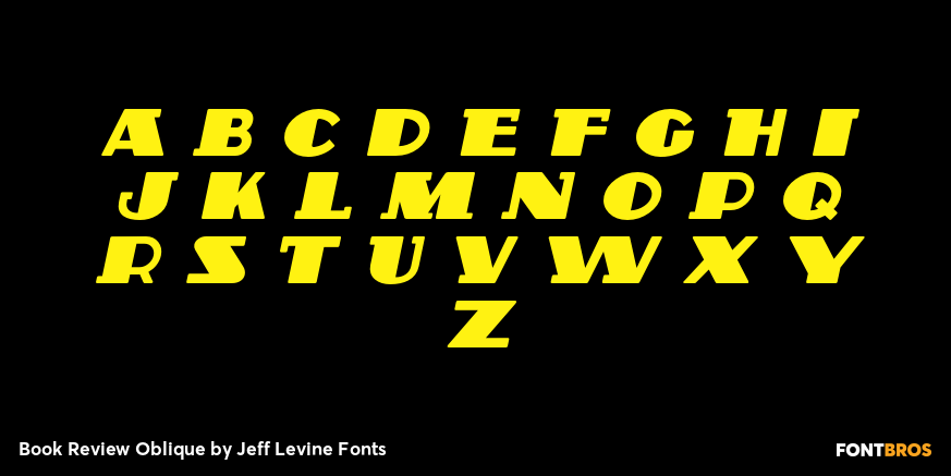 Book Review Oblique Font Poster #3