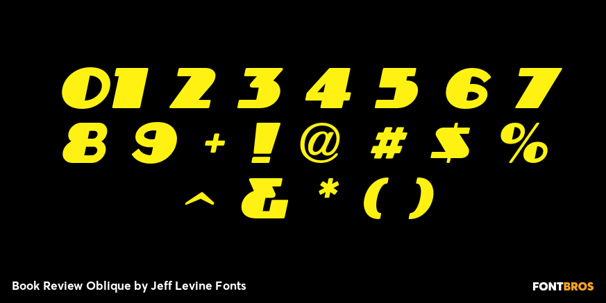 Book Review Oblique Font Poster #4