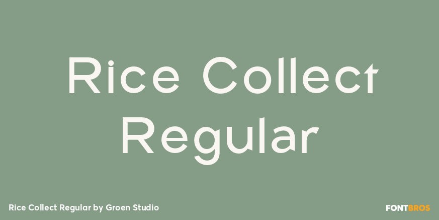 Rice Collect Regular Poster