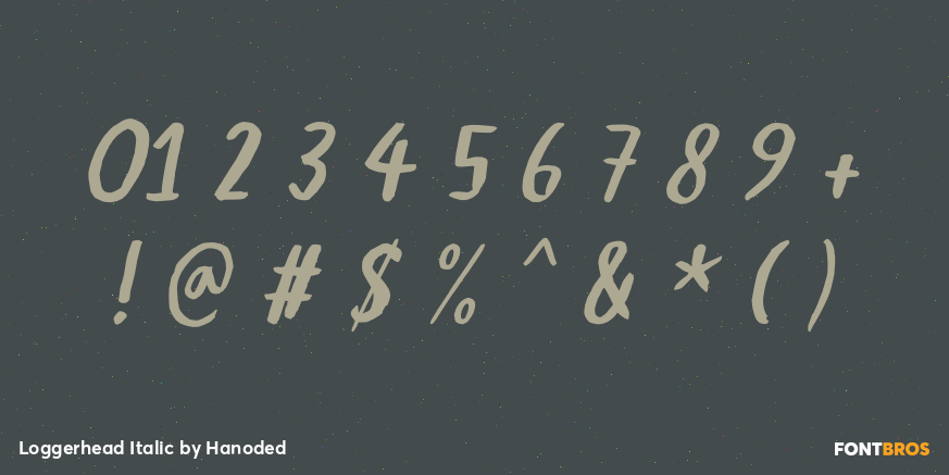 Loggerhead Italic Font Poster #1