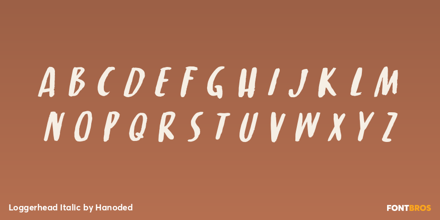 Loggerhead Italic Font Poster #3