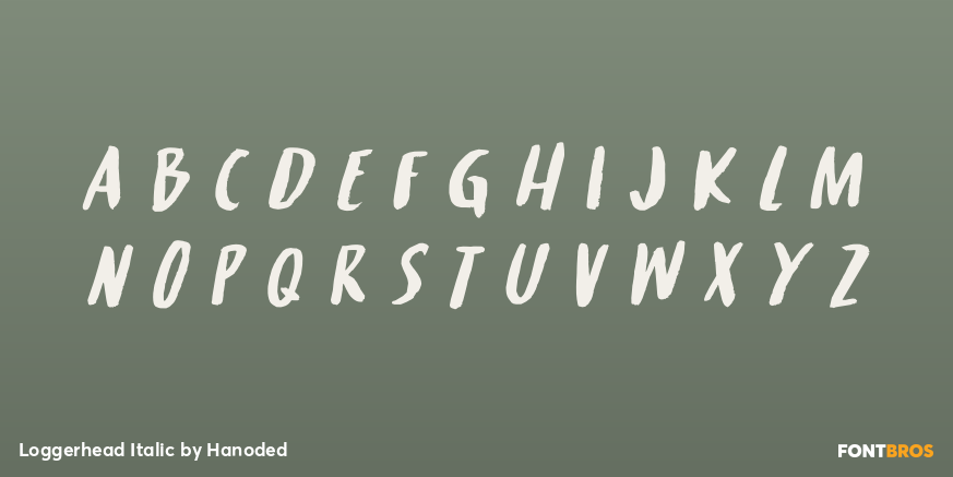 Loggerhead Italic Font Poster #1