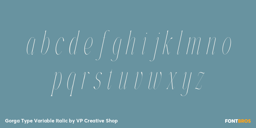 Gorga Type Variable Italic Font Poster #3