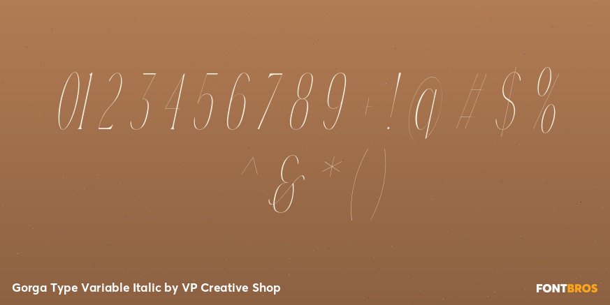 Gorga Type Variable Italic Font Poster #4