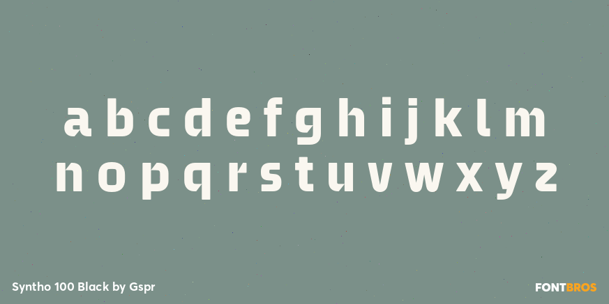 Syntho 100 Black Font Poster #3