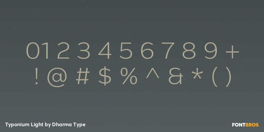 Typonium Light Font Poster #4