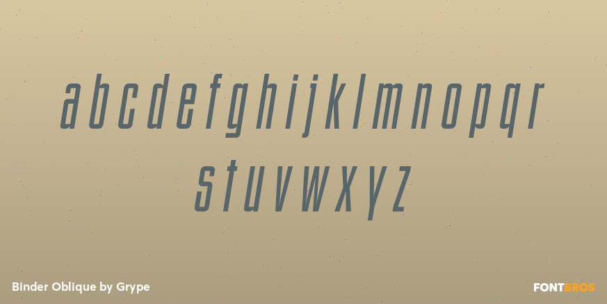 Binder Oblique Font Poster #3