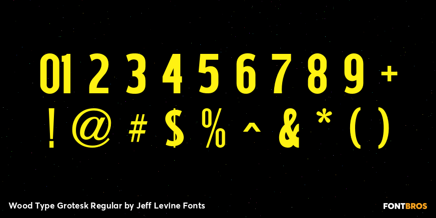 Wood Type Grotesk Regular Font Poster #4