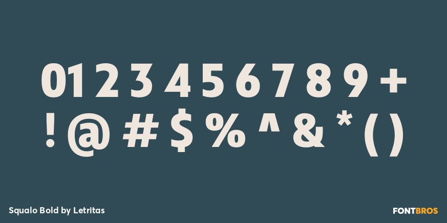 Squalo Bold Font Poster #4