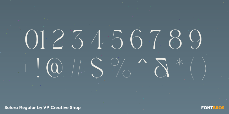 Solora Regular Font Poster #4