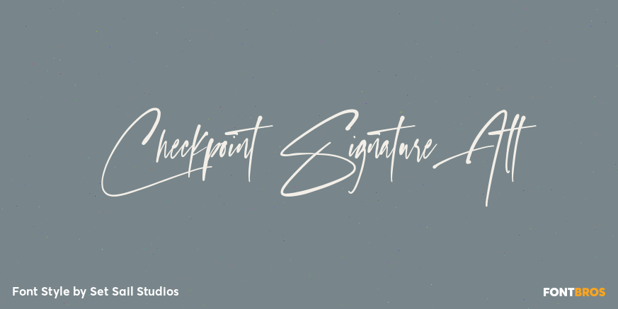 Checkpoint Signature Alt Poster