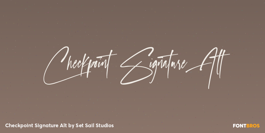 Checkpoint Signature Alt Poster